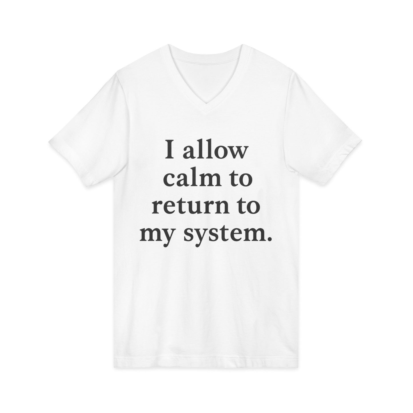 Calm Restoring V-Neck Tee — "I allow calm to return to my system." Mindful Affirmation Shirt - HealthandlifestylewChiny