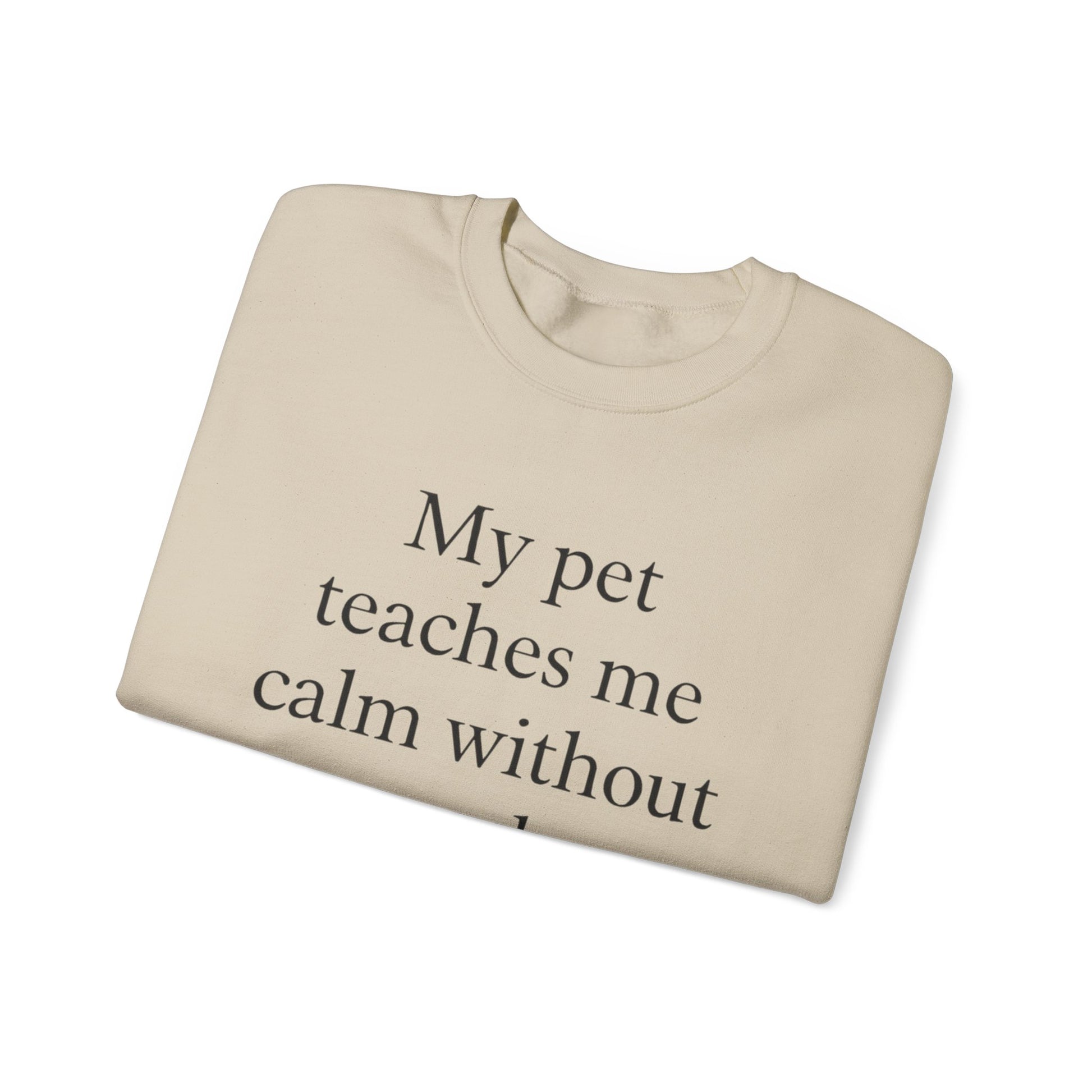 Crewneck Sweatshirt — “My pet teaches me calm without words.” Minimal Pet Lover Pullover - HealthandlifestylewChiny