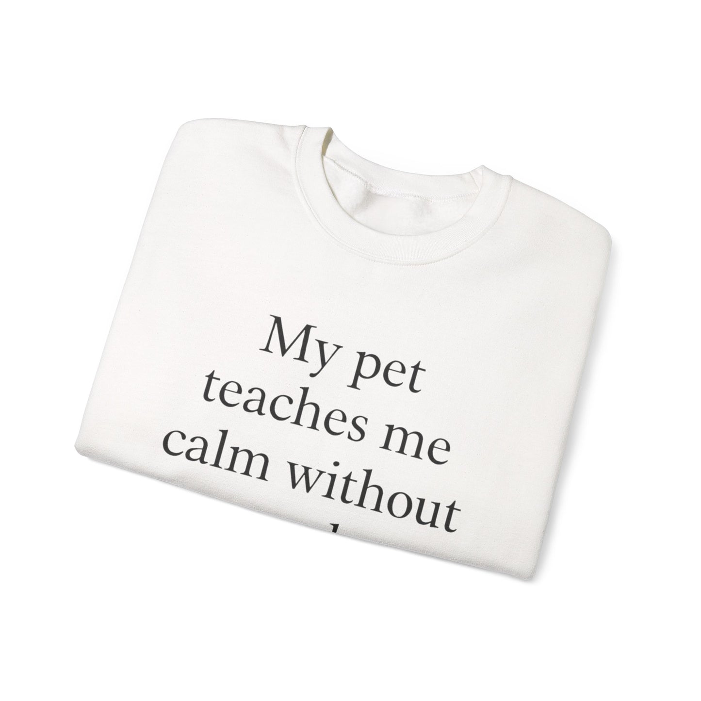 Crewneck Sweatshirt — “My pet teaches me calm without words.” Minimal Pet Lover Pullover - HealthandlifestylewChiny