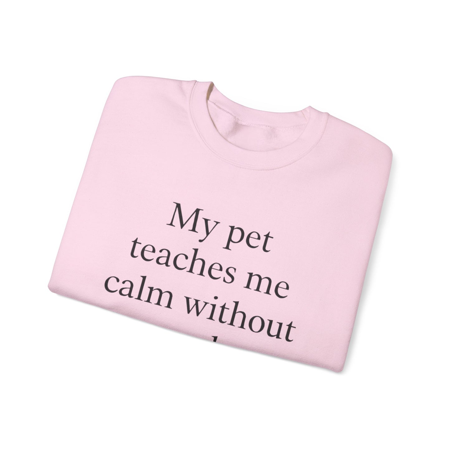 Crewneck Sweatshirt — “My pet teaches me calm without words.” Minimal Pet Lover Pullover - HealthandlifestylewChiny
