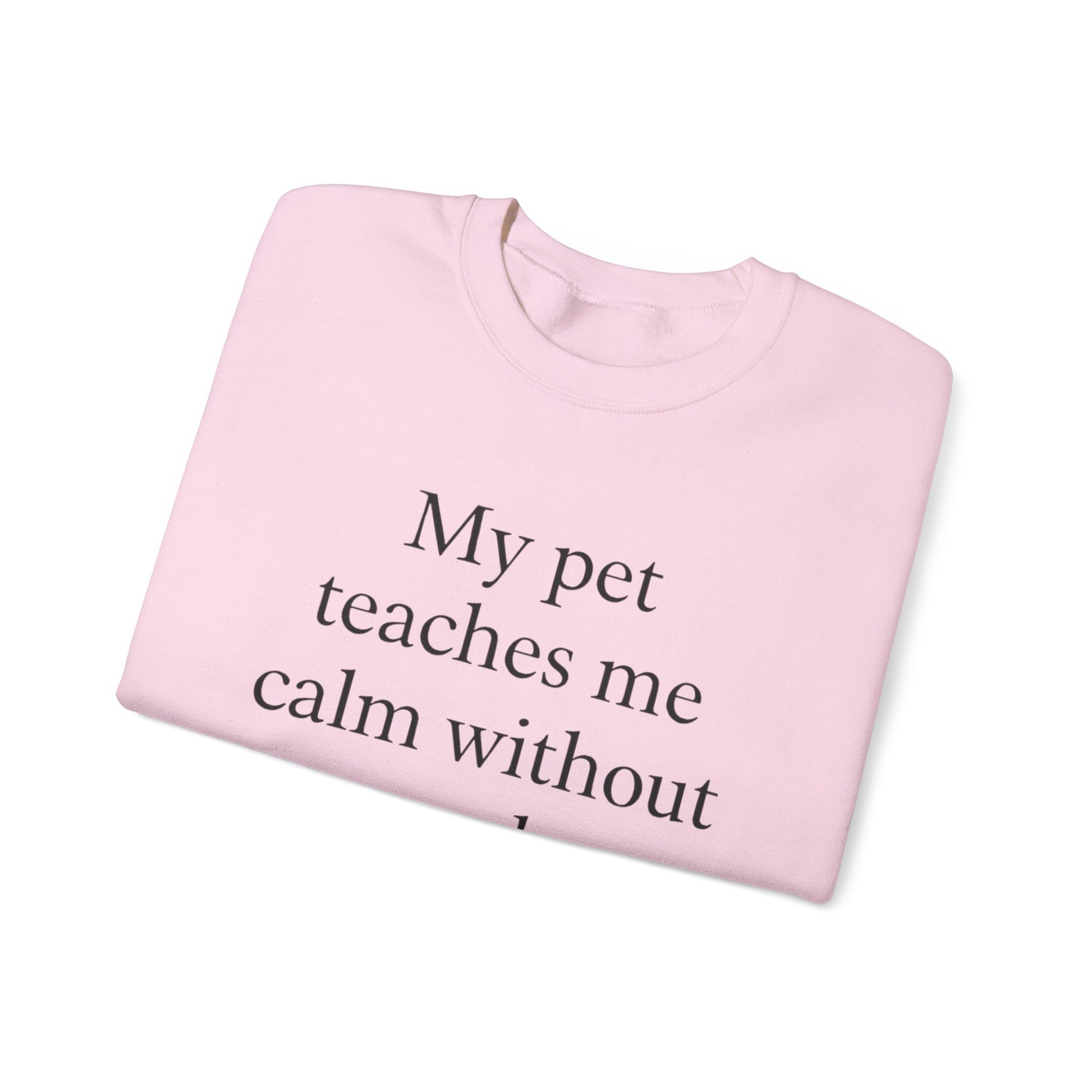 Crewneck Sweatshirt — “My pet teaches me calm without words.” Minimal Pet Lover Pullover - HealthandlifestylewChiny