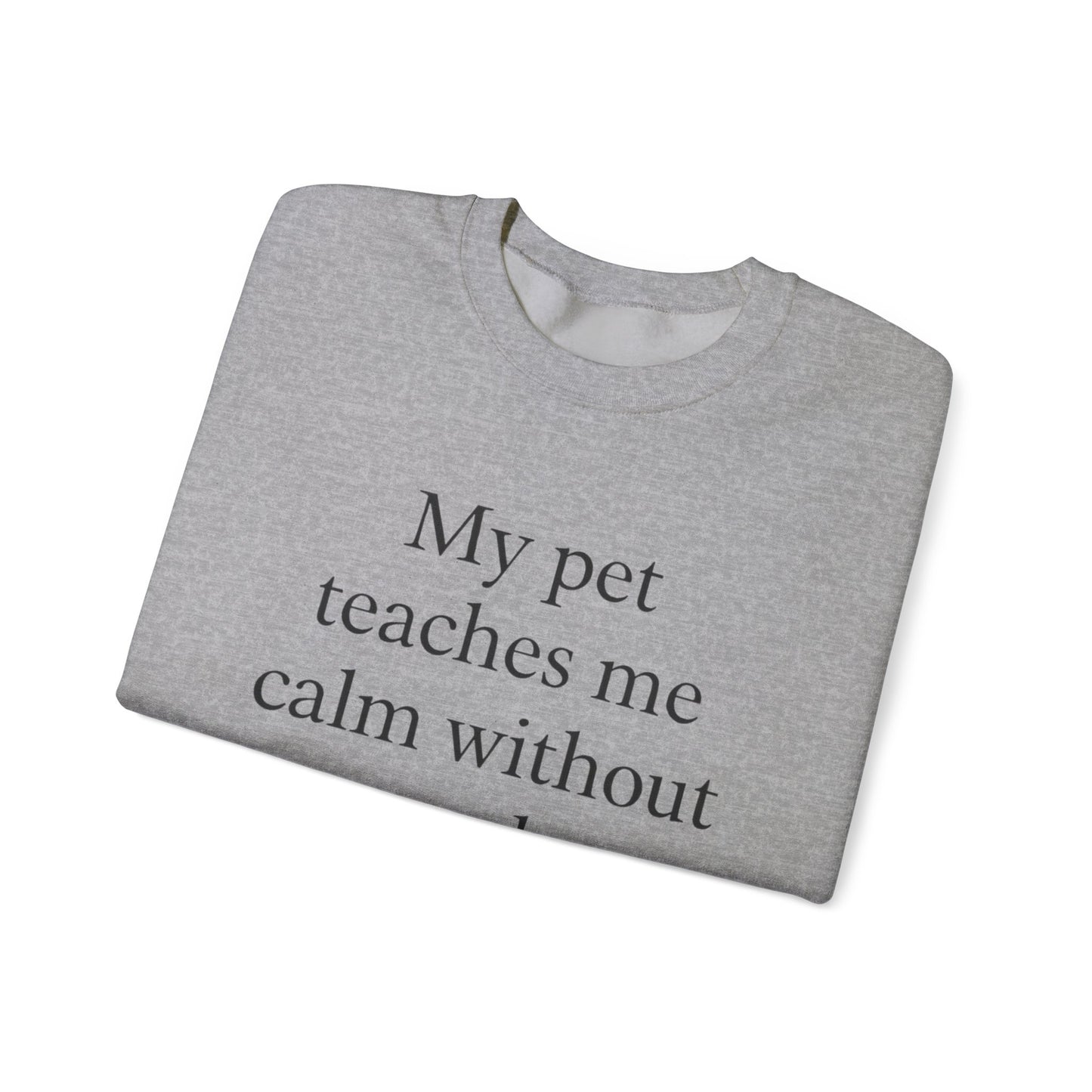 Crewneck Sweatshirt — “My pet teaches me calm without words.” Minimal Pet Lover Pullover - HealthandlifestylewChiny