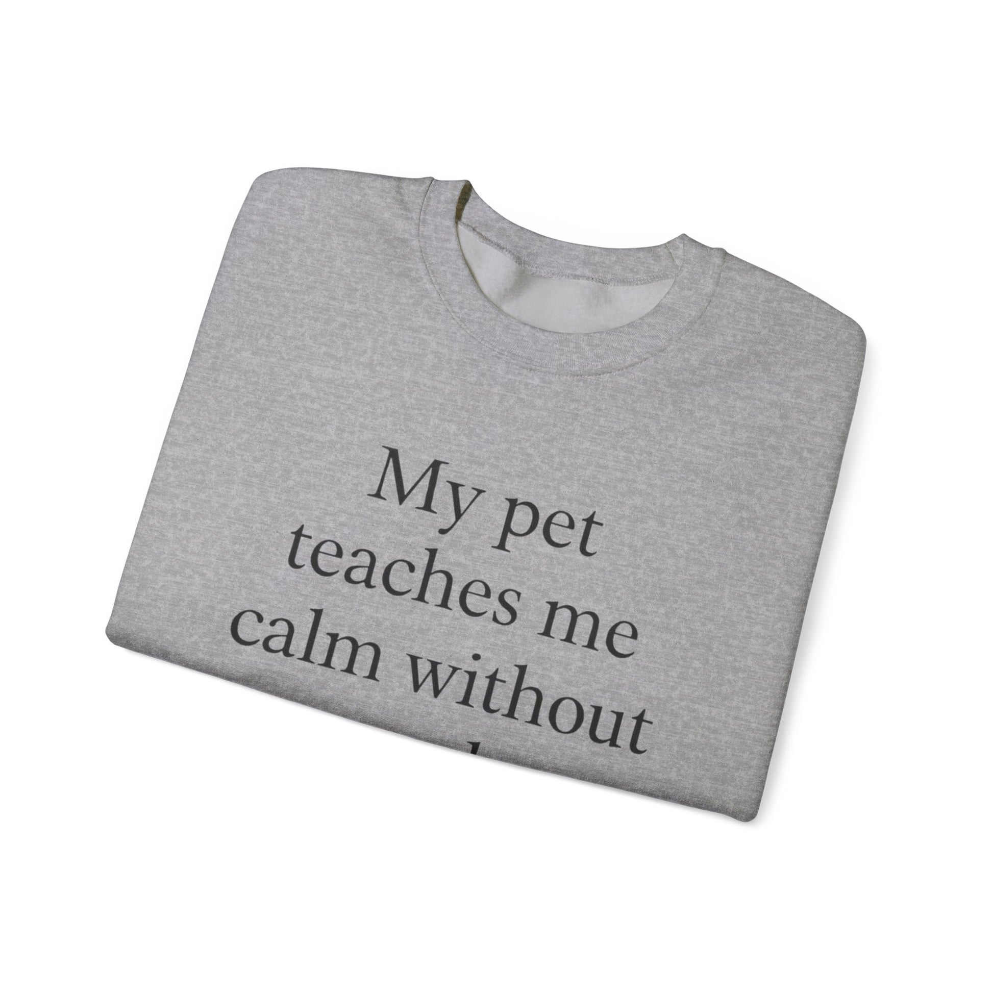 Crewneck Sweatshirt — “My pet teaches me calm without words.” Minimal Pet Lover Pullover - HealthandlifestylewChiny