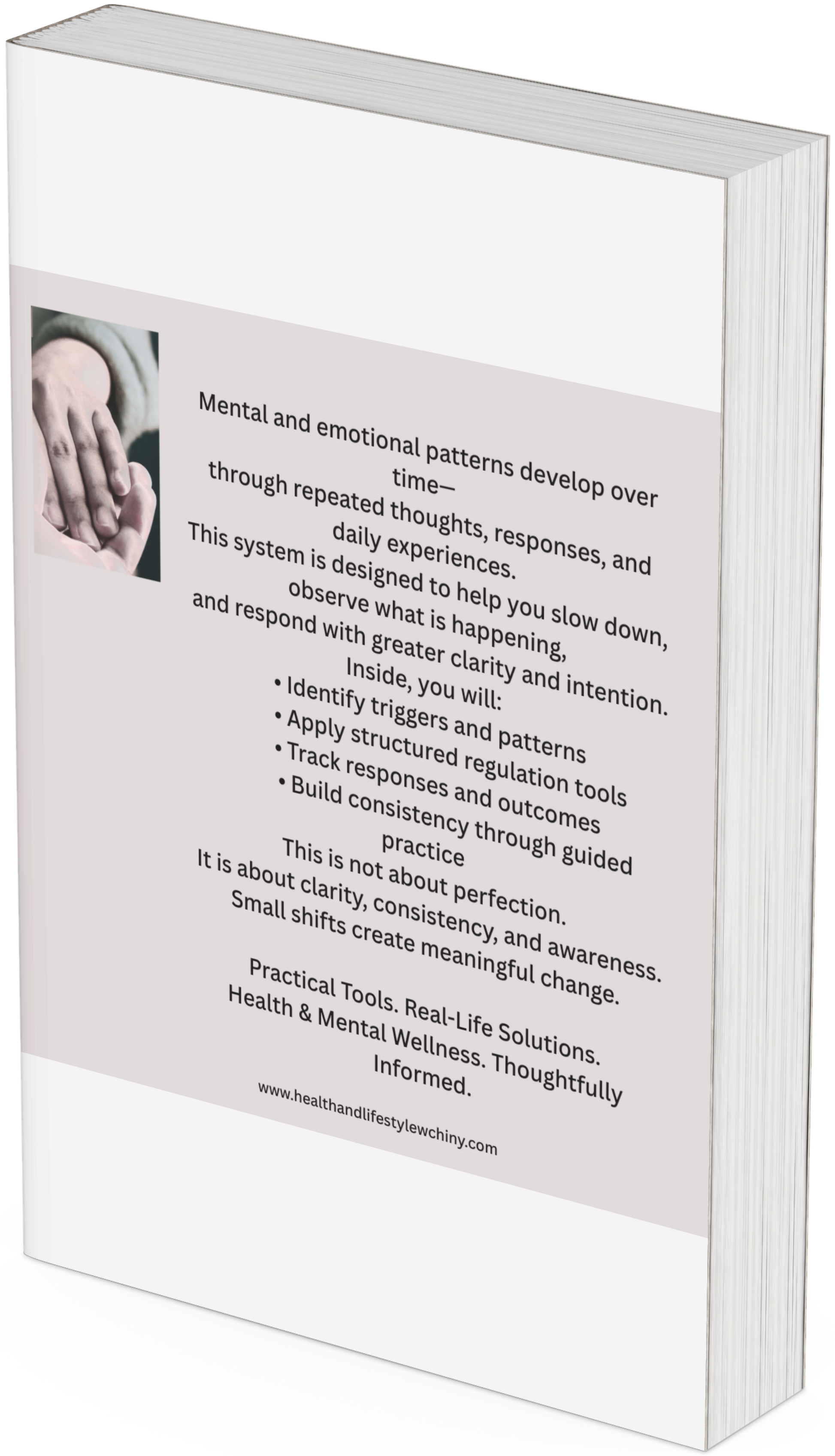 Mental Health Regulation & Intervention System Stabilize • Support • Regulate - HealthandlifestylewChiny